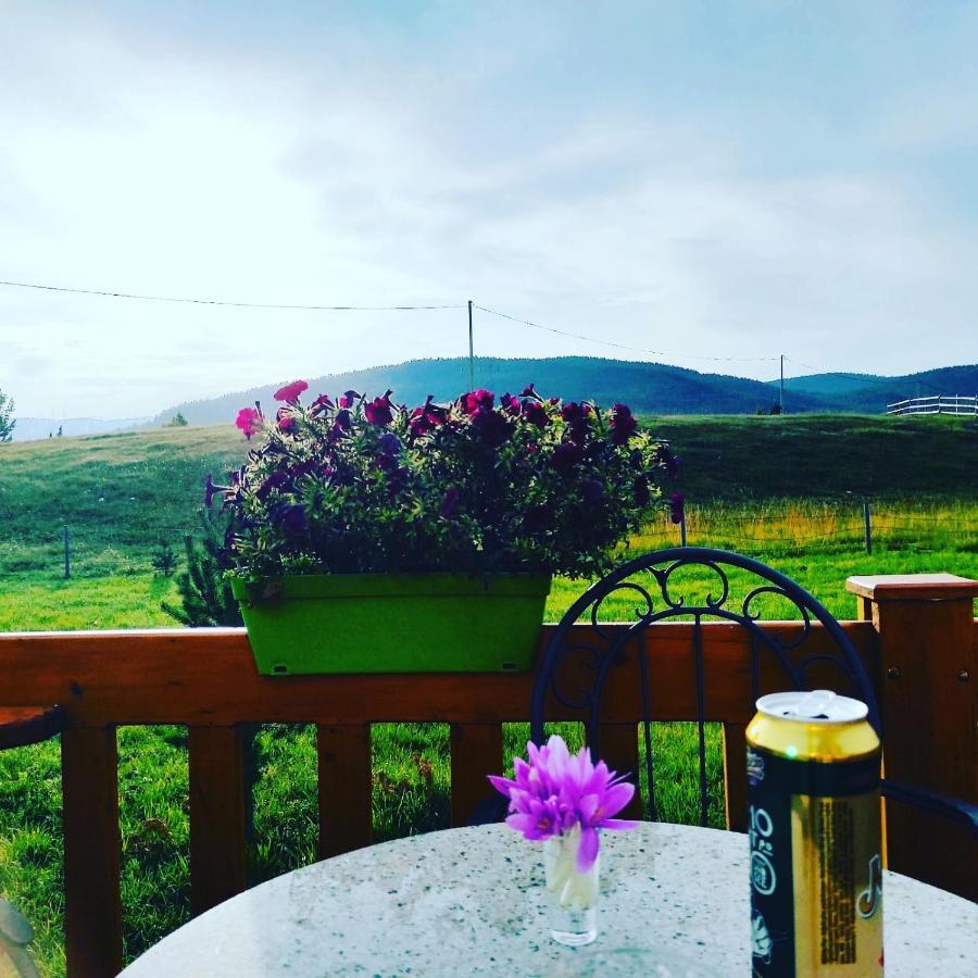 Planinska Kuca Villa Žabljak Dış mekan fotoğraf