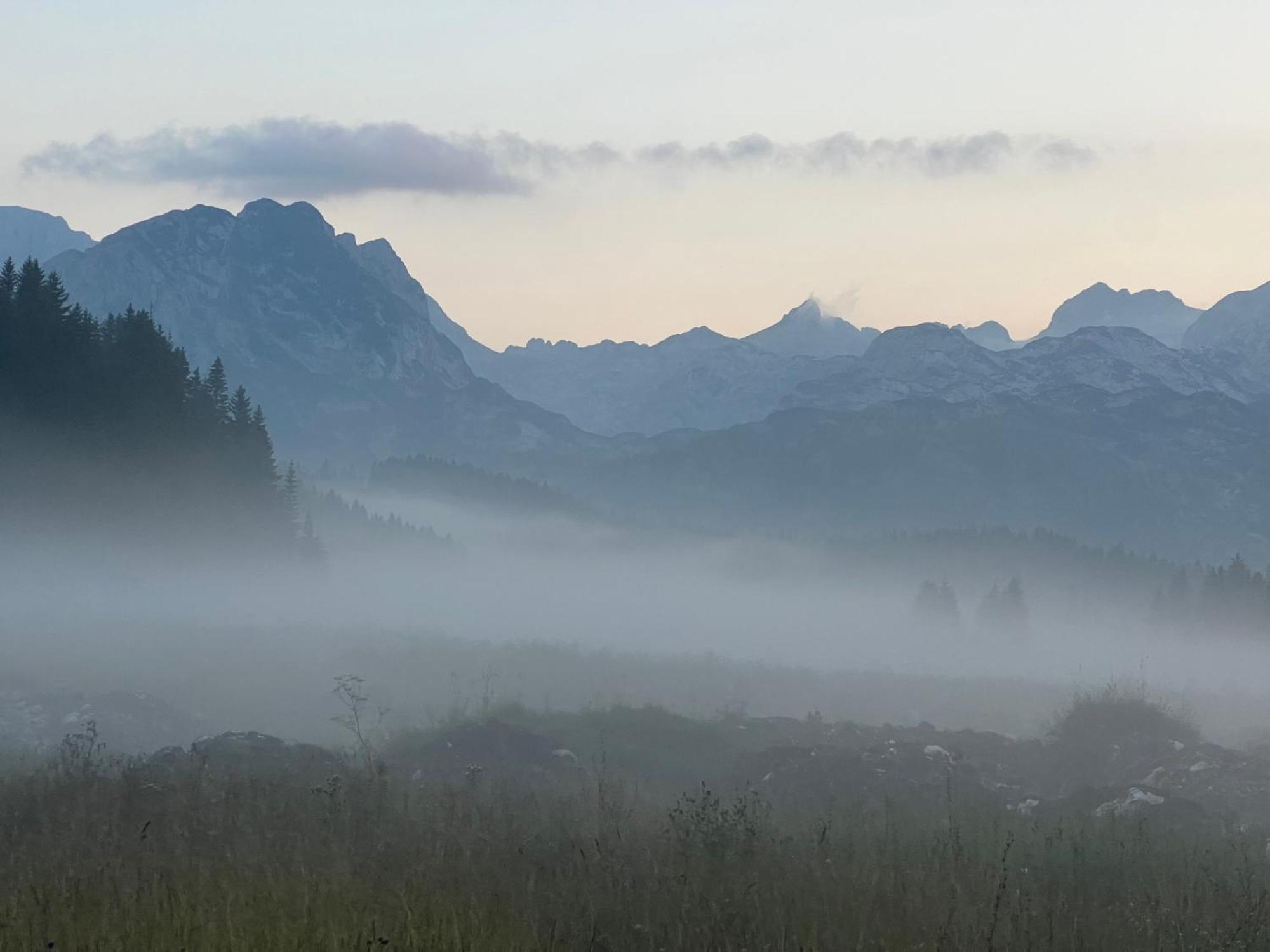 Planinska Kuca Villa Žabljak Dış mekan fotoğraf